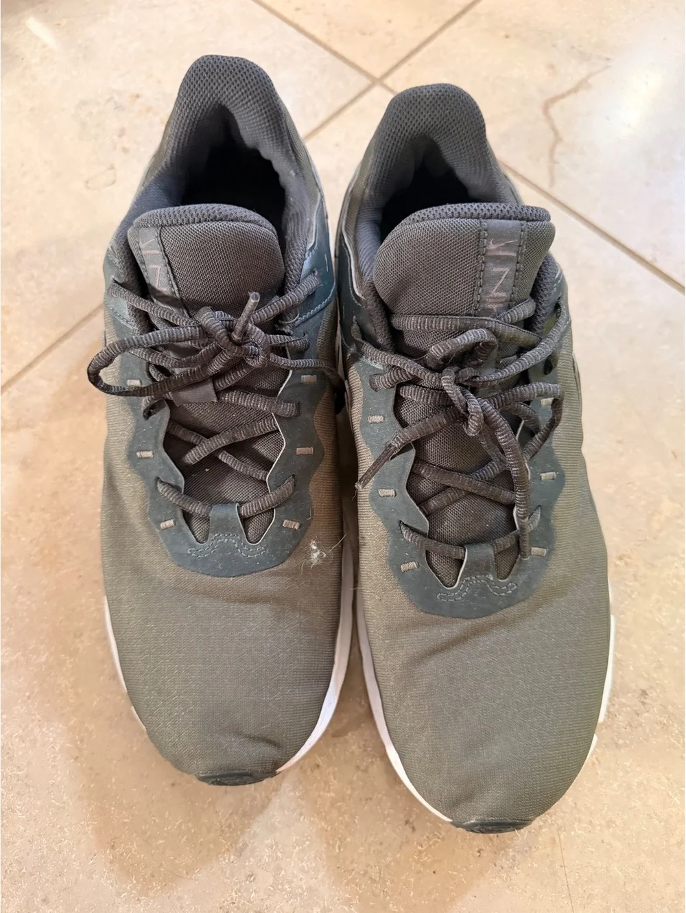 Nike Legend Essential 2 shoes